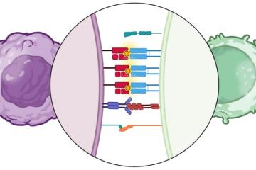 Avigen: Immunotherapy validation and selection
